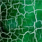 greencrackle
