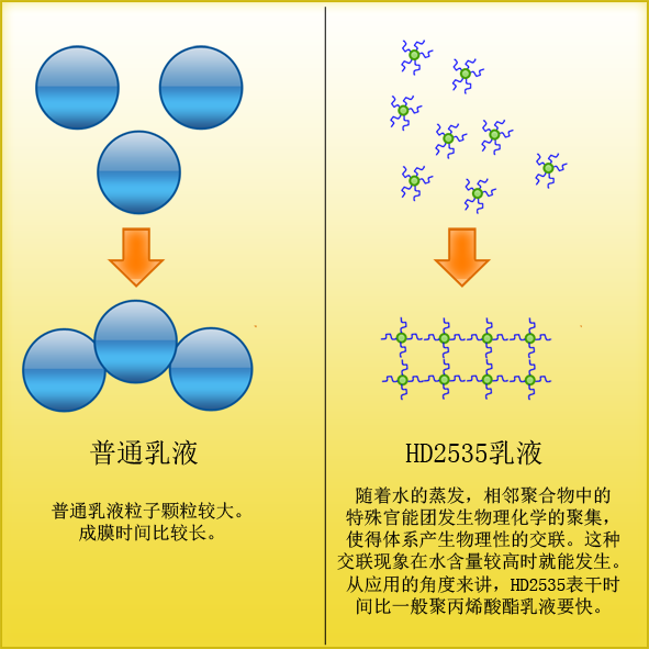 HD2535快干性